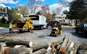 Best Tree Mulching  in College Park, GA